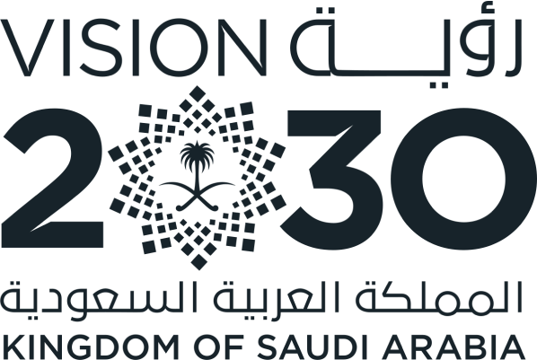 Vision 2030 image
